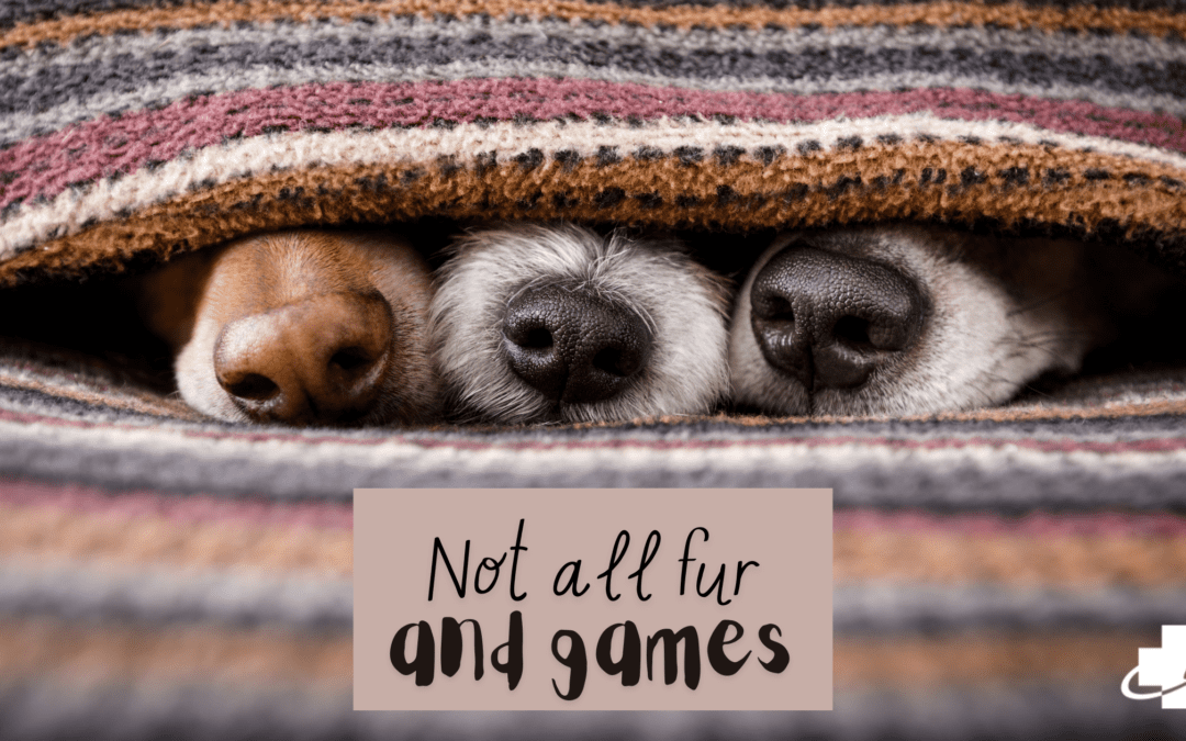 Not All Fur & Games