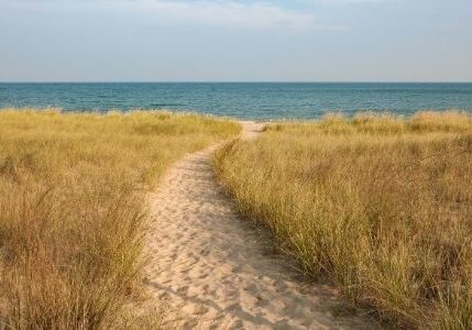 COAZLLC-seotool-51038-4FunTourist-image1-600x300